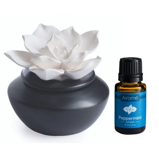 Advanced Gardenia Porcelain Passive Diffuser Recyclable