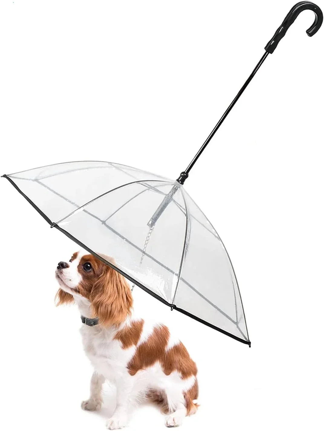 Excellent Pet Umbrella with Built-in Leash - Clear Canopy for Small Dogs and Cats Elegant