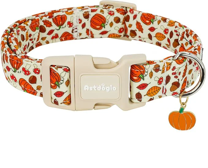 Stylish Fall Dog Collar – Halloween Thanksgiving Dog Collars Luxury
