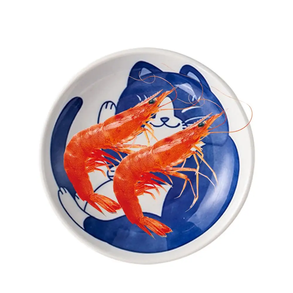 Fast Cute Japanese Ceramic Cat Dining Plates Traditional