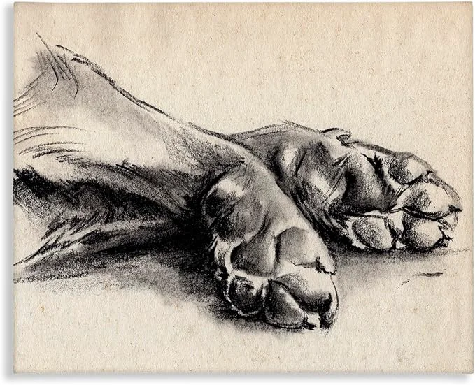 Refined Stupell Industries Dog Paw Charcoal Design Designed By Jennifer Paxton Parker 20 x 16 Canvas Wall ArtAbout This Authentic