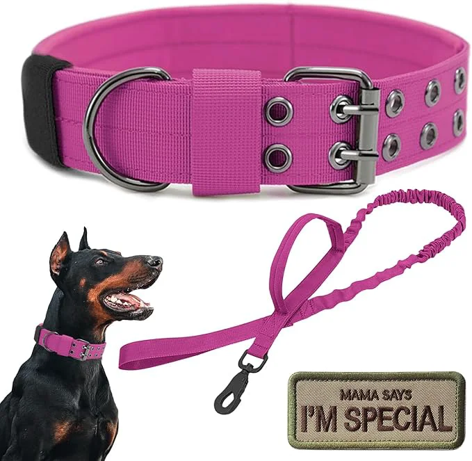 Eco-Friendly Tactical Dog Collar Military Adjustable Dog Collars Soft Nylon Training Collar Minimalist