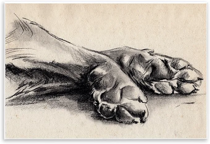 Smart Stupell Industries Dog Paw Charcoal Design Minimal Tan Black Wall Plaque Art Design by Jennifer Paxton ParkerAbout This Quality