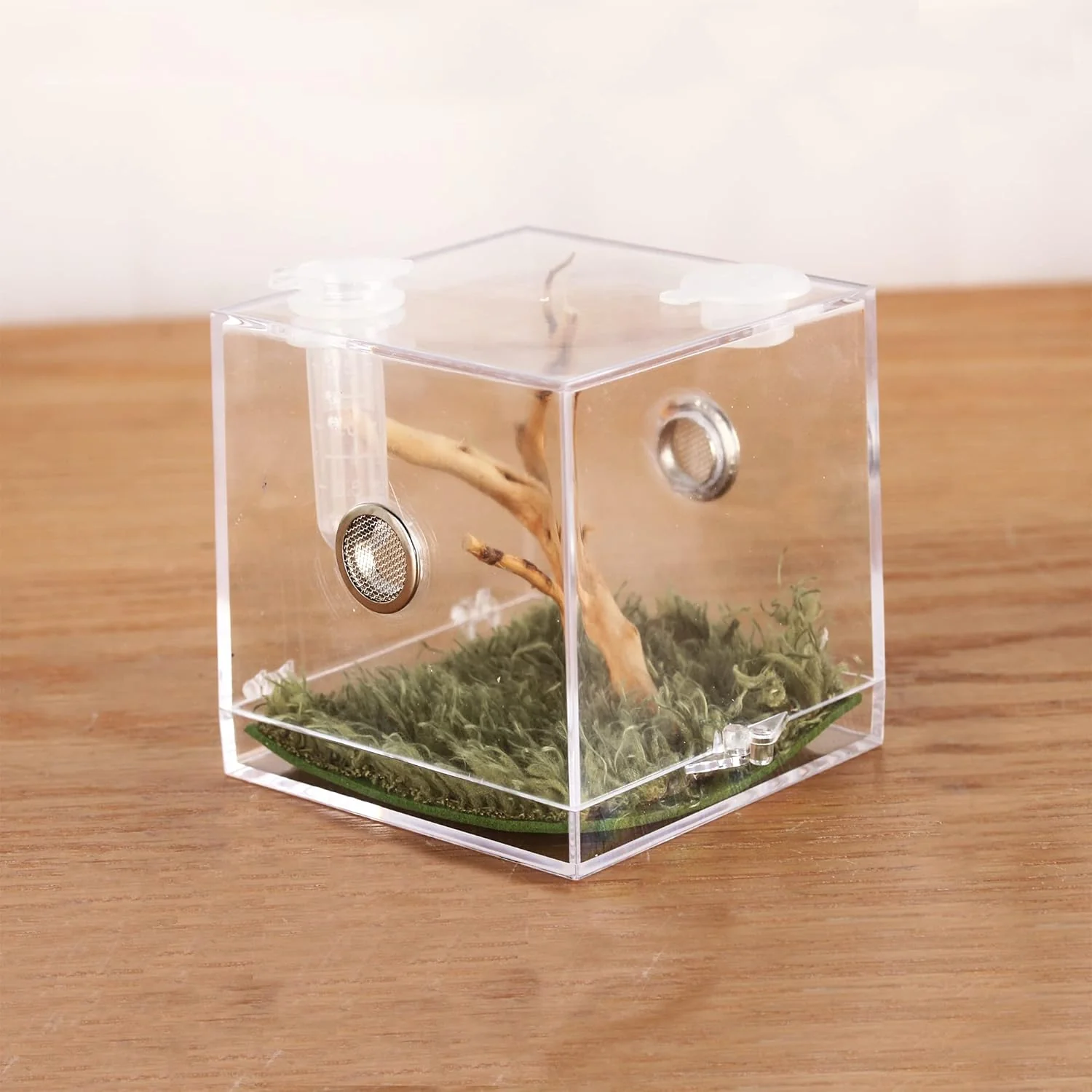 Consistent crapelles Jumping Spider Micro Big Habitat Small Pet Insect Breeding Box 360 Degree High Transparent Reptile Cage Acrylic Case Mini Carrier for Amphibians Feeding Container Enclosure Accessories Certified