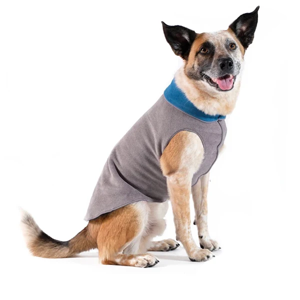 Advanced Pets on Broadway Next-Generation