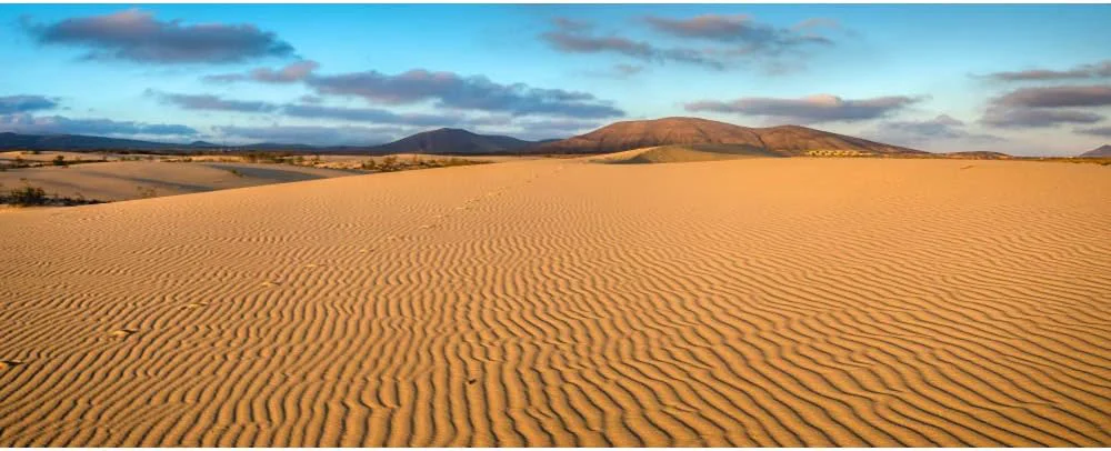 Solid Renaiss 12x6ft Desert Photography Backdrop Golden Ripple Desert Mountain Sand Dunes Blue Sky Gobi Scenery Background Nature Landscape Backgrounds Wilderness Photo Video Shoot Studio Props High-End