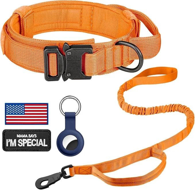 Carefully Designed DAGANXI Tactical Dog Collar Adjustable Military Training Nylon Dog Collar High-Quality