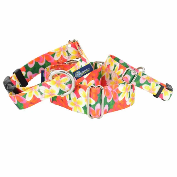 Authentic Aloha Martingale Dog Collar – EarthStyle User-Friendly