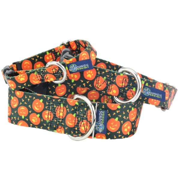 World-Class Jack O Lantern Buckle Martingale Dog Collar – EarthStyle Trusted