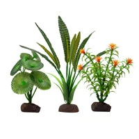 Recyclable Fluval Aqualife Plant Scapes Elodea 3 Plant Set Easy-to-Use