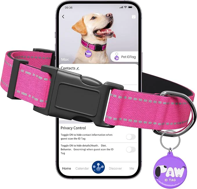 Stylish Reflective Dog Collar for Large Dogs Practical