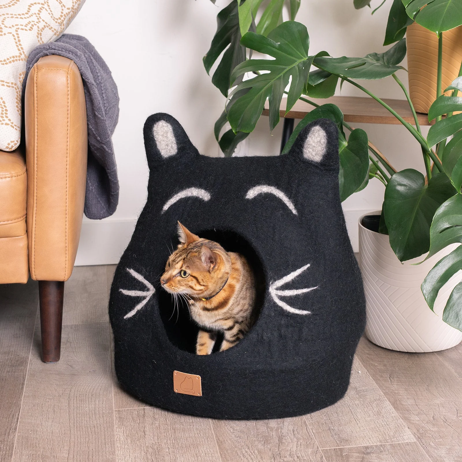 Fine Crafted Boy Cat Design Ear Style Cave Fast