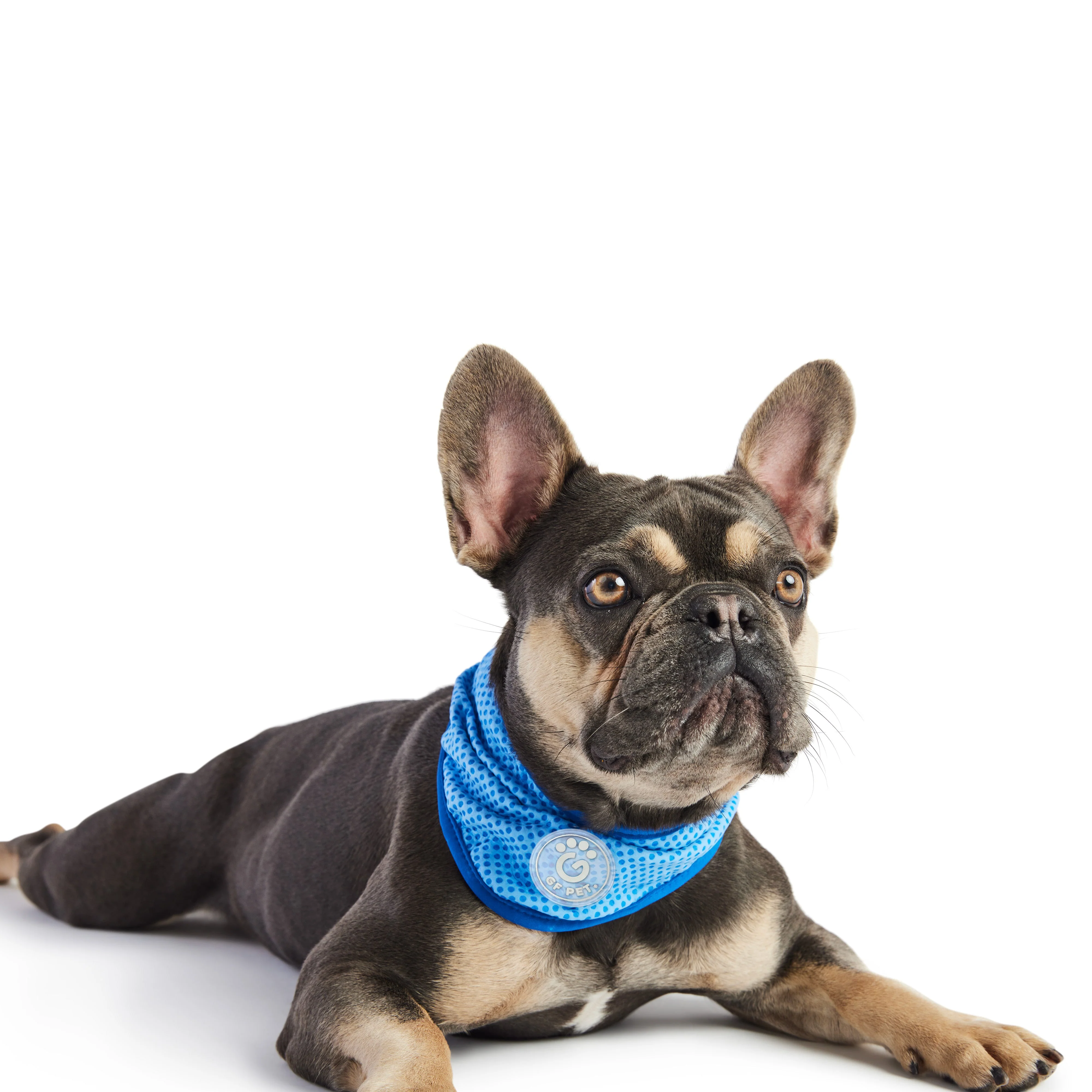 Convenient ICE BAND - Dog Cooling Bandana - Blue User-Friendly