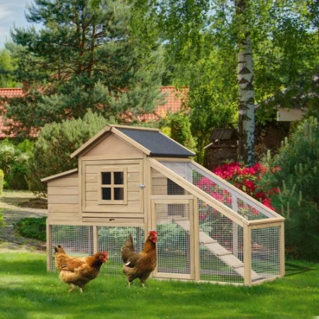 Efficient Wooden Chicken Enclosure With Connecting Ramp Removable Tray Ventilated Window And Nesting Box Natural High-Quality