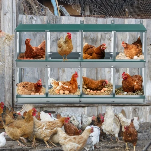Classic 8 Compartment Chicken Nesting Boxes Smooth