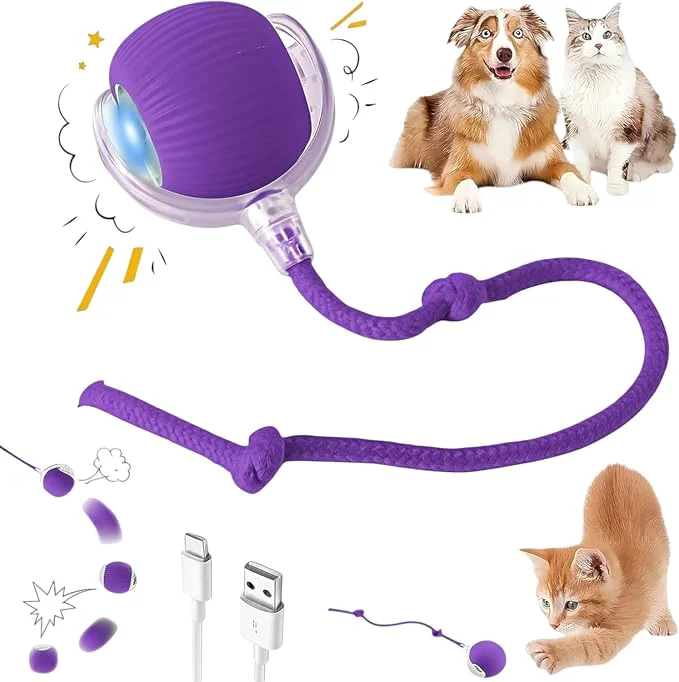 Quality Interactive Electric Automatic Rolling Moving Rechargeable Self Play Selected