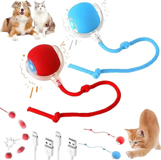 Verified 2026 New 2Pack Cat Ball Kitten Toys Reusable