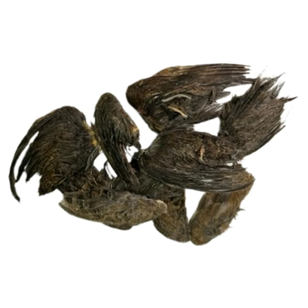 Stylish Undique Quail Wings for Dog Training Small 10 Count User-Friendly
