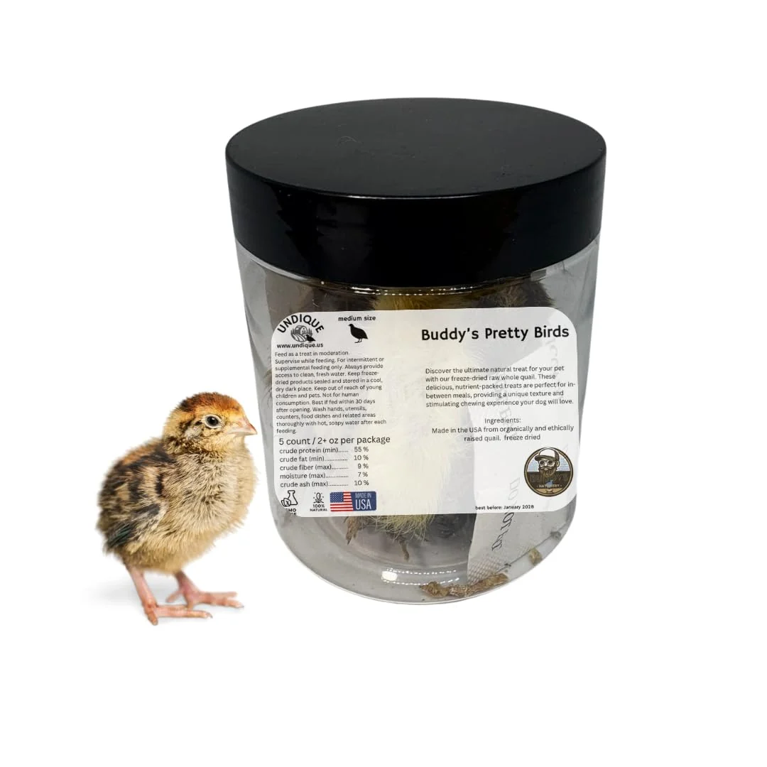 Crafted Whole Quail Chick for Carnivore Pets - Natural Prey Feeding - Quality Protein Source Medium Size Chicks 5 Count Solid
