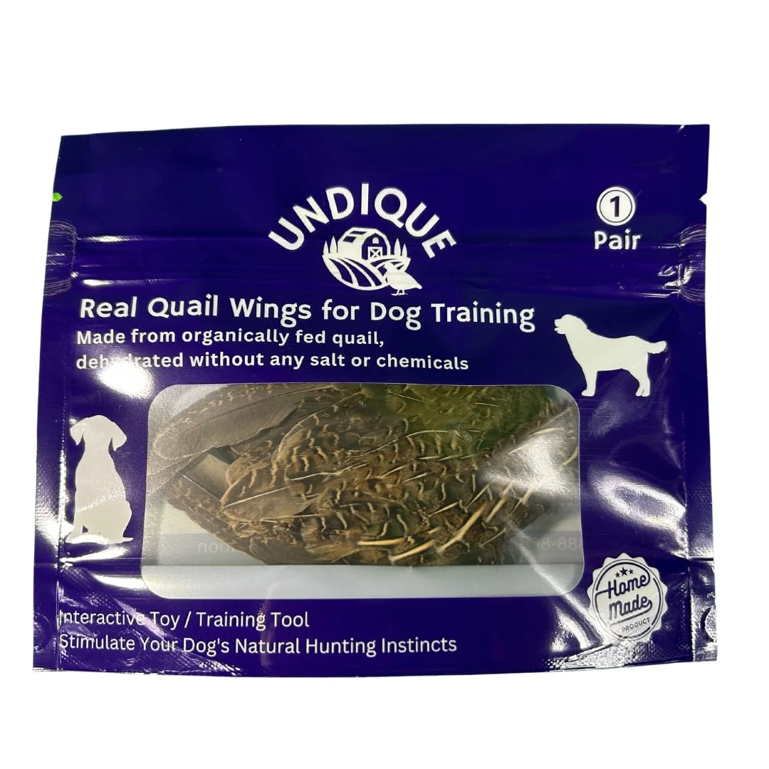 Detailed Premium Quail Wings for Dog Training - 1 Pair Bird Scent from US Farms I for Scent and Hunting Training Traditional