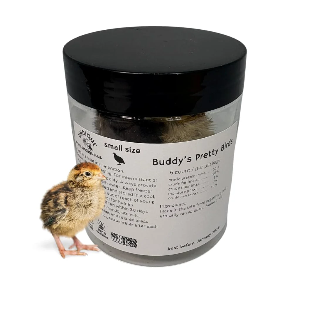 Classic Whole Quail for Carnivore Pets - Premium Quality Natural Pet Treats Quail - Natural Prey Feeding Quail - ze-Dried for Essential Nutrients and Enzymes Small Size 5 Count Effective
