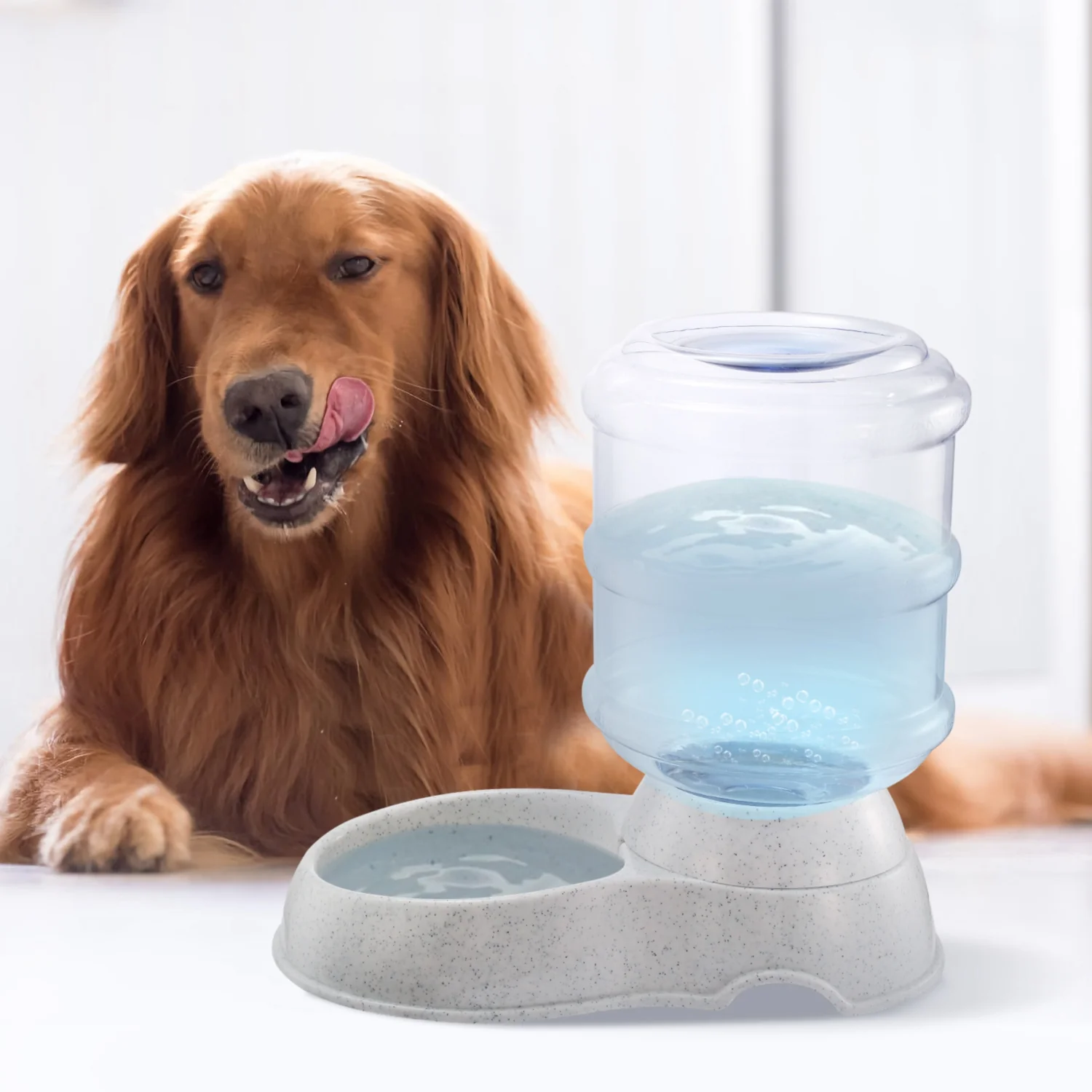 Trendy 1 Gallon Pet Water Dispenser Self-Dispensing Gravity Pets Water Feeder Automatic. Fast