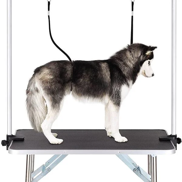 Smooth Pet Dog Grooming Table Contemporary