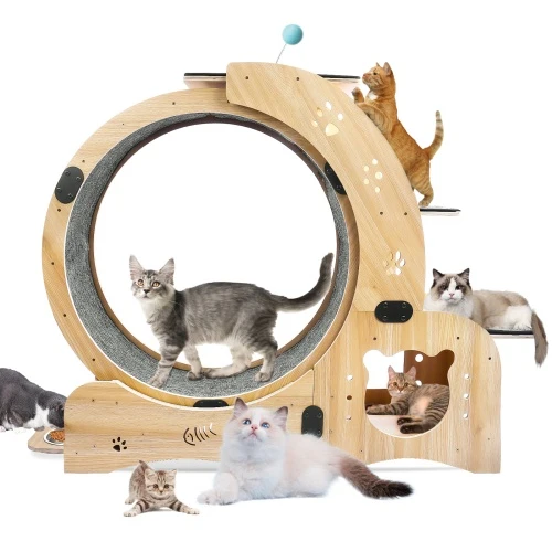 Reusable Cat Wheel 6-in-1 Cat Fitness Wheel Reliable