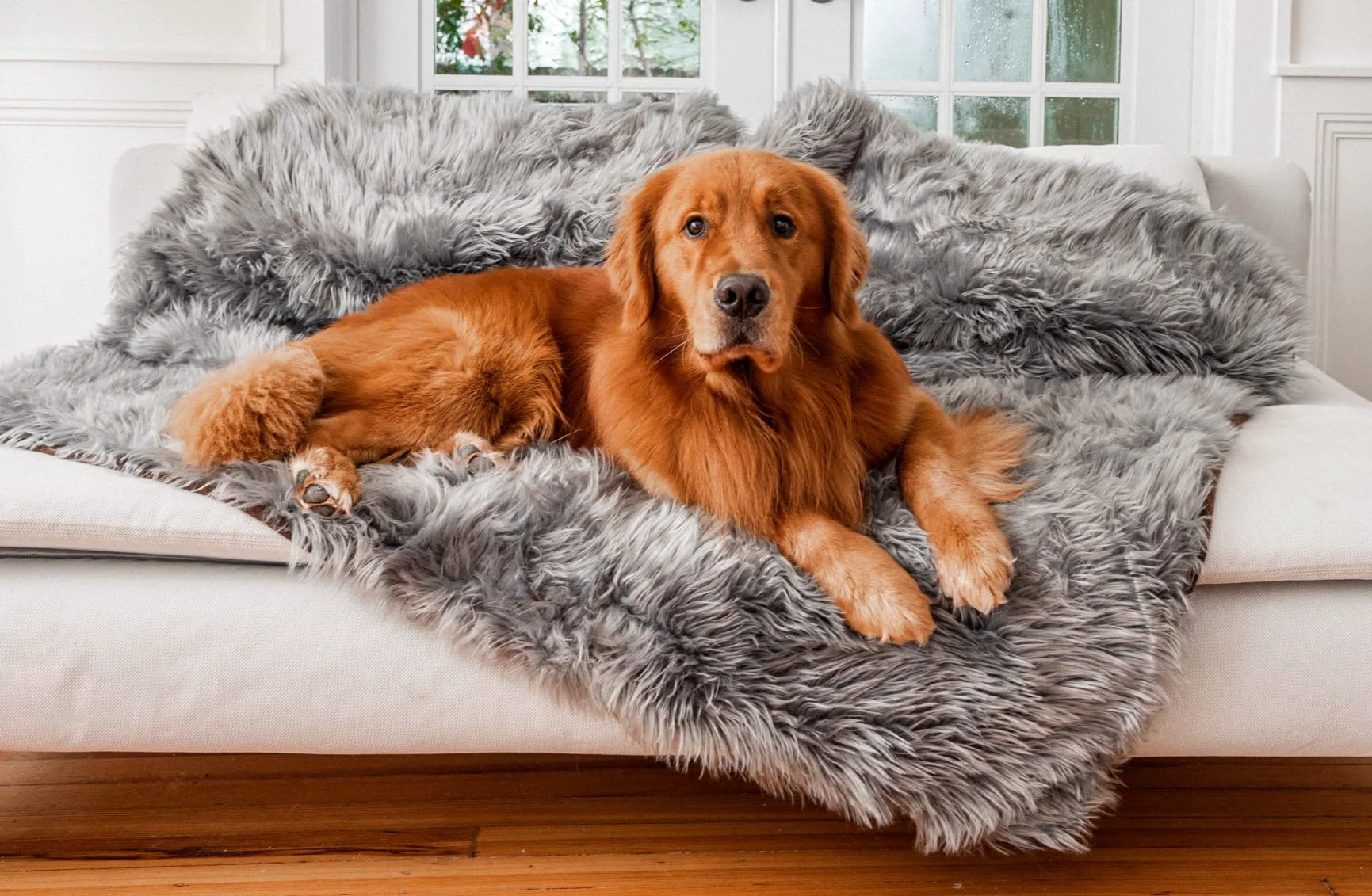 Breathable PAW BRANDS PupProtector Waterproof Throw Blanket — Calming Faux Fur Large 80x62 in Charcoal Grey Genuine