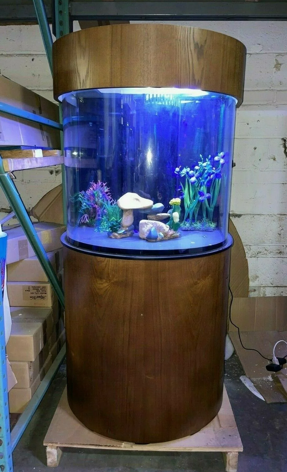 Sophisticated 60 Gallon Half Round Flat Sides Reef-Ready Aquarium with Stand Deep Oak Carefully Designed