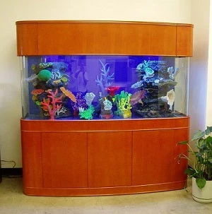 Artisan MONSTER TANK 380 Gallon Seamless Glass Bowfront Reef-Ready Aquarium in Premium Cherry Wood Furniture Excellent