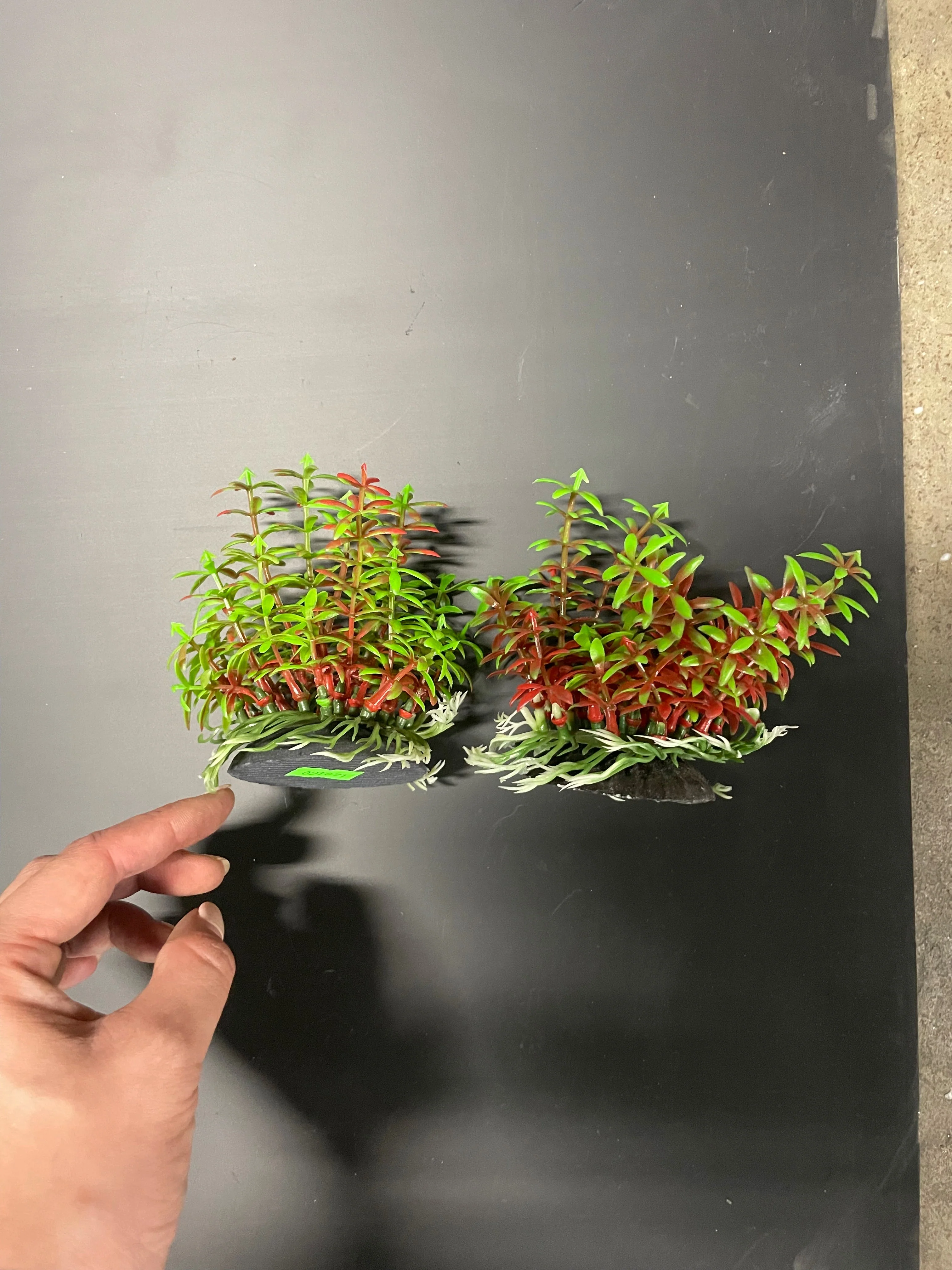 Reliable PREMIUM Small Artificial Aquarium Plants - Set of 2 - Aquatics Safe Convenient