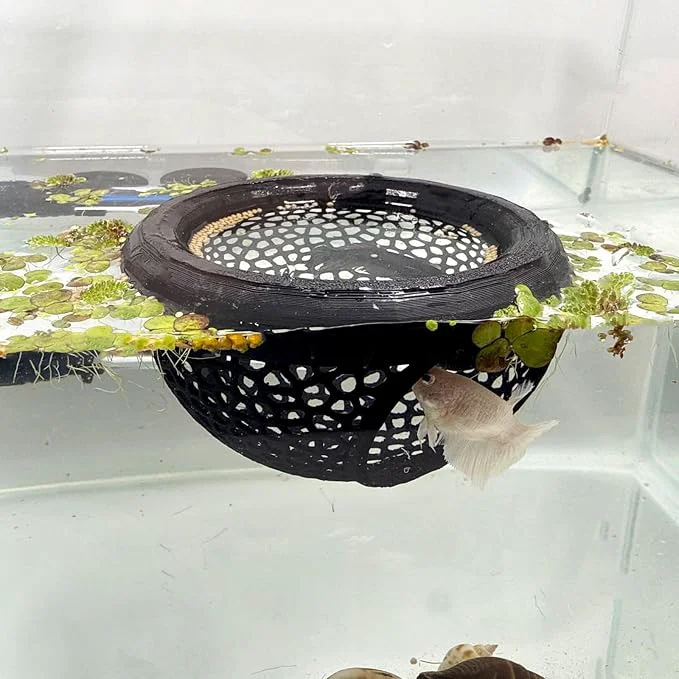 Dependable Aquarium Floating Betta Fish Skins Betta or Shrimp Feeder Cave and Hammock Verified