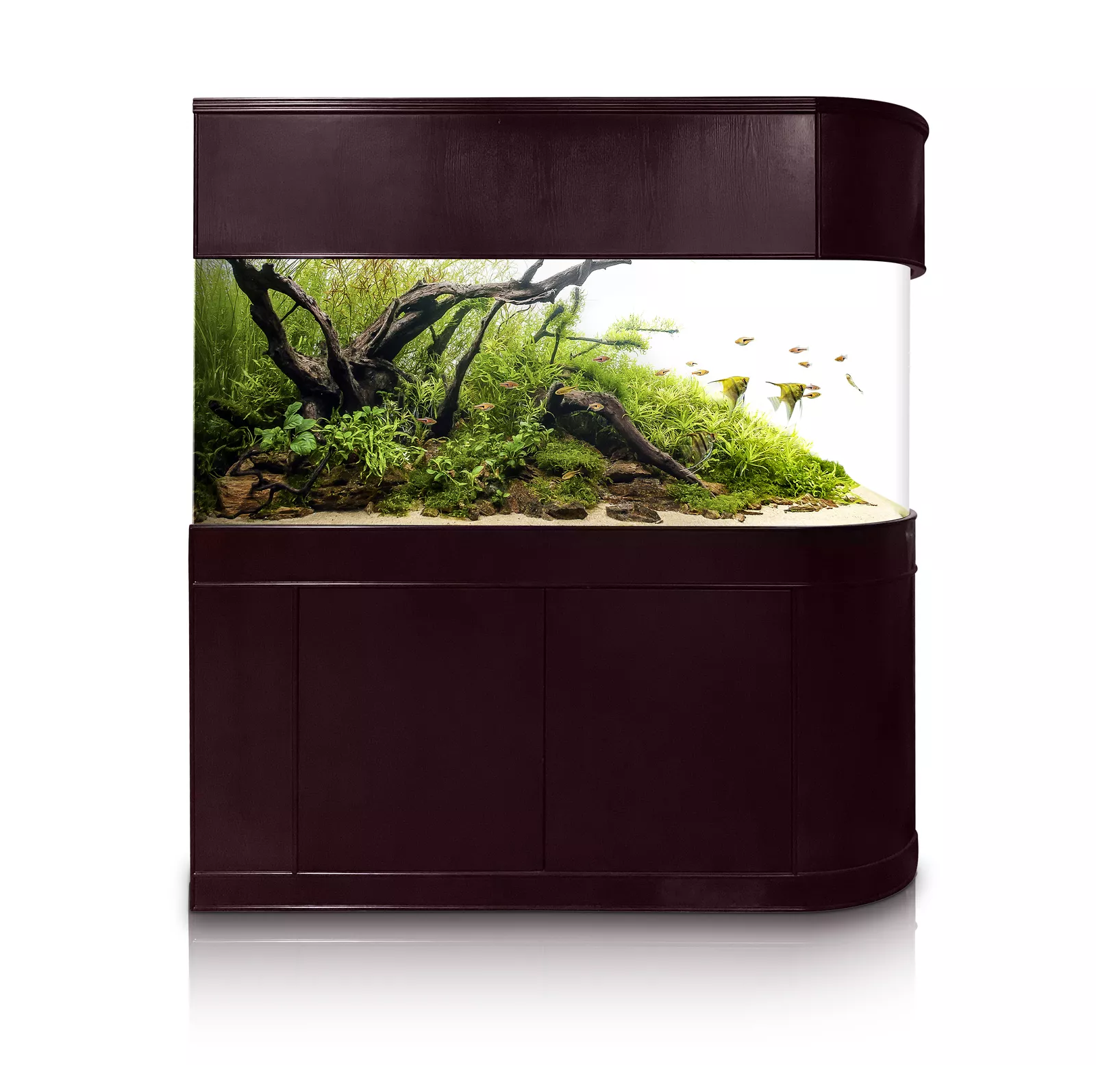 Enhanced 120 Gallon U-Shape Bullnose Peninsula Divider Glass Aquarium Reef-Ready in Rose Cherry Wood Furniture Traditional