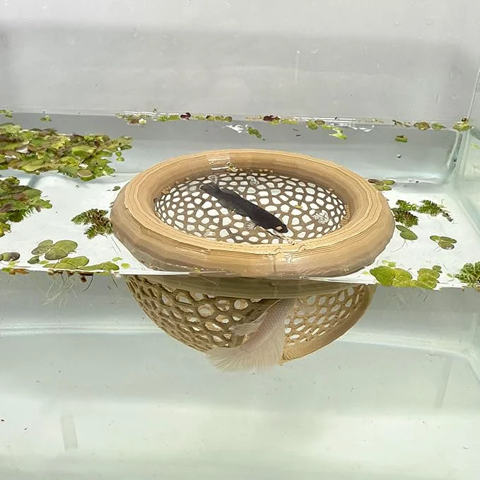 Original Design Aquarium Floating Betta Fish Skins Betta or Shrimp Feeder Cave and Hammock Classic