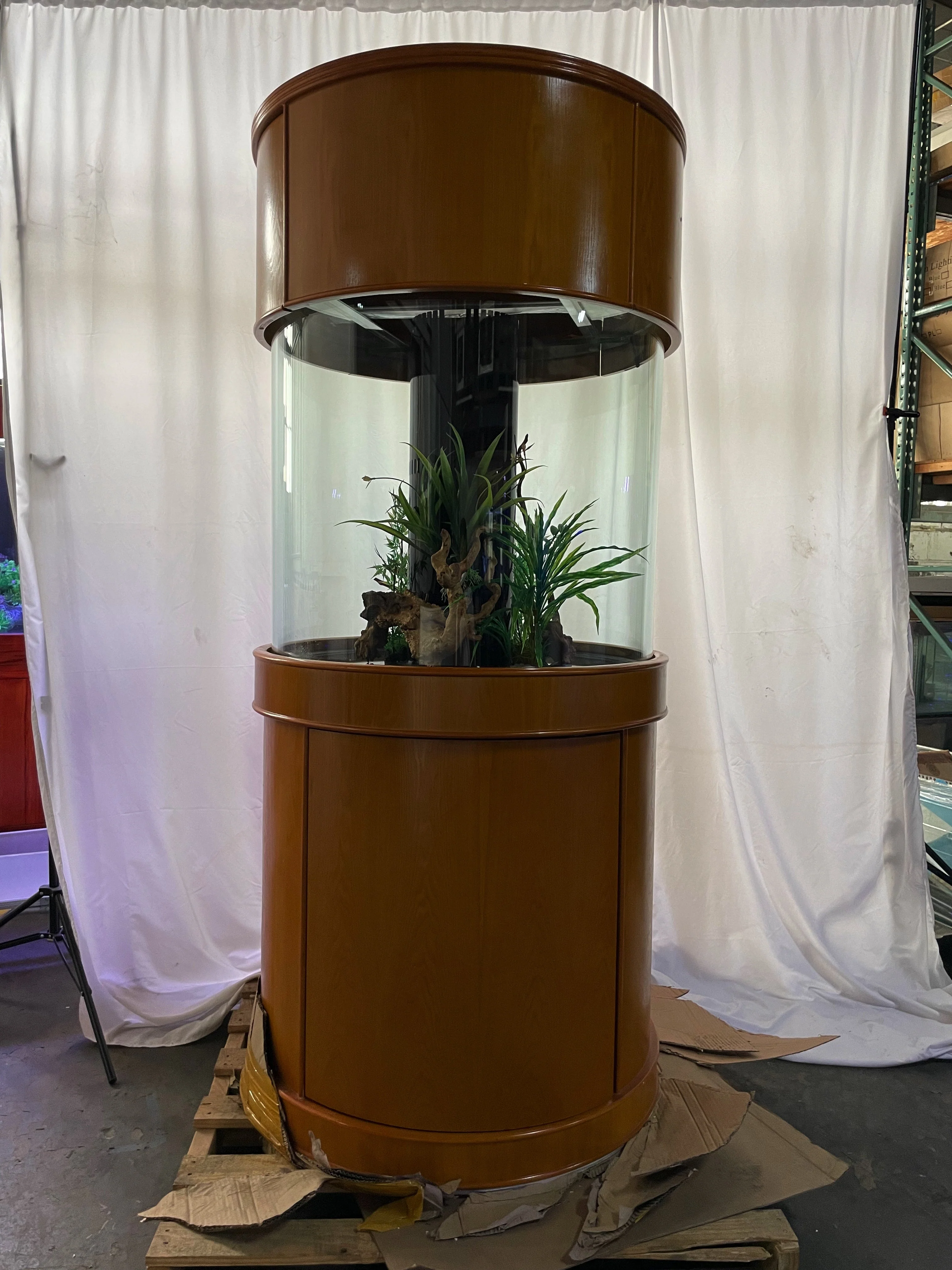 Outstanding 100 Gallon Glass Full Cylinder Aquarium Minor Blemish Reef-Ready Aquarium in Golden Oak Wood Furniture Healthy