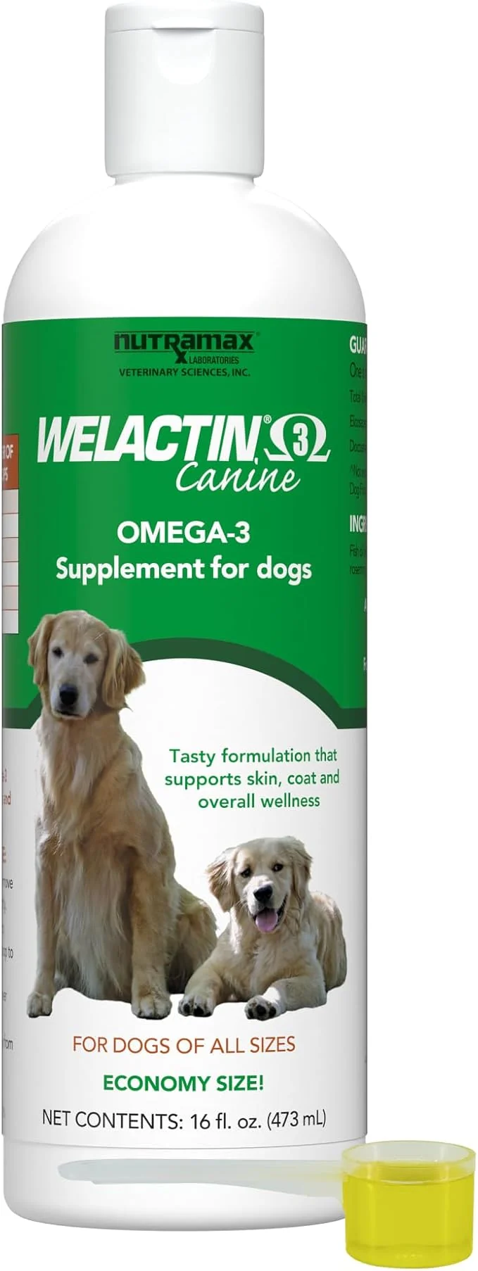 Comfortable Nutramax Welactin Omega 3 Fish Oil for Dogs Skin and Coat Health Supplement Plus Joint Immune Kidney and Brain Support Premium Omega 3 Fatty Acids For Dogs of all Sizes 16 Ounce Liquid 3 Pk About ThisOverview Unique