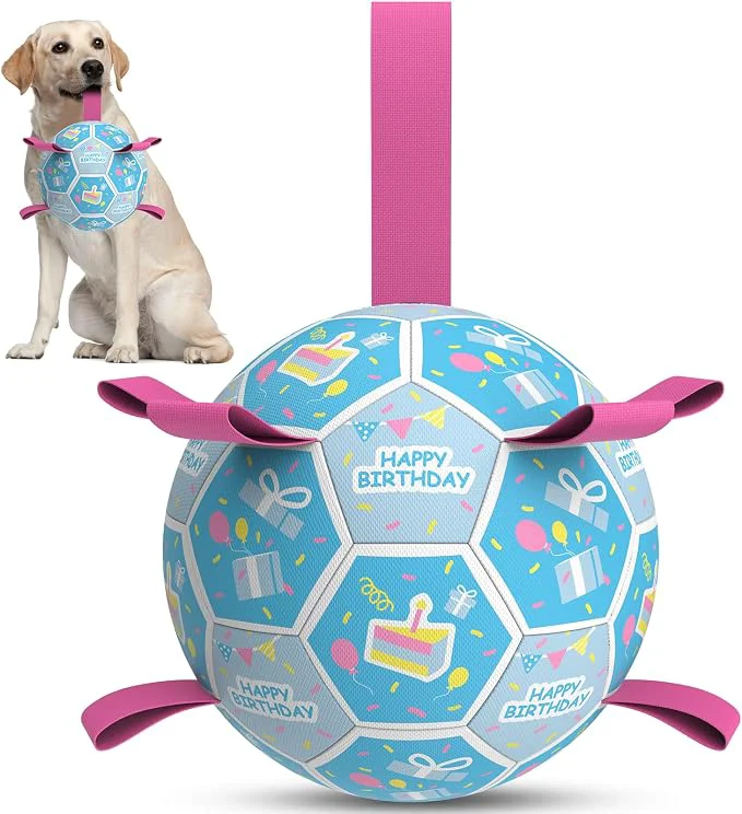 Solid QDAN Dog Birthday Toys Soccer Ball Innovative