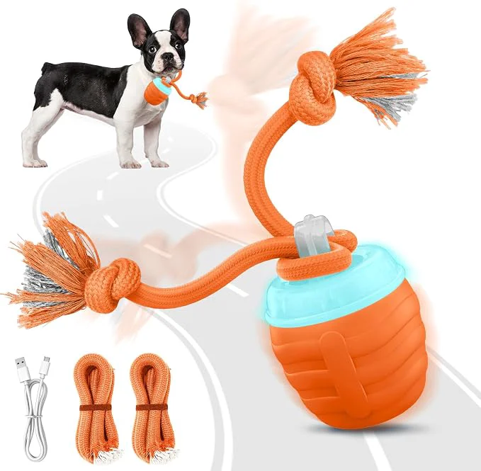 User-Friendly Interactive Dog Toys Responsible