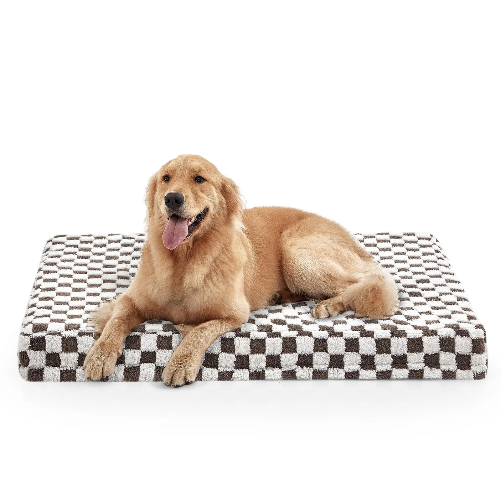World-Class JOEJOY XL Orthopedic Dog Bed – 42 x 28 in Removable Washable Cover Plush Memory Egg Crate Foam Unique