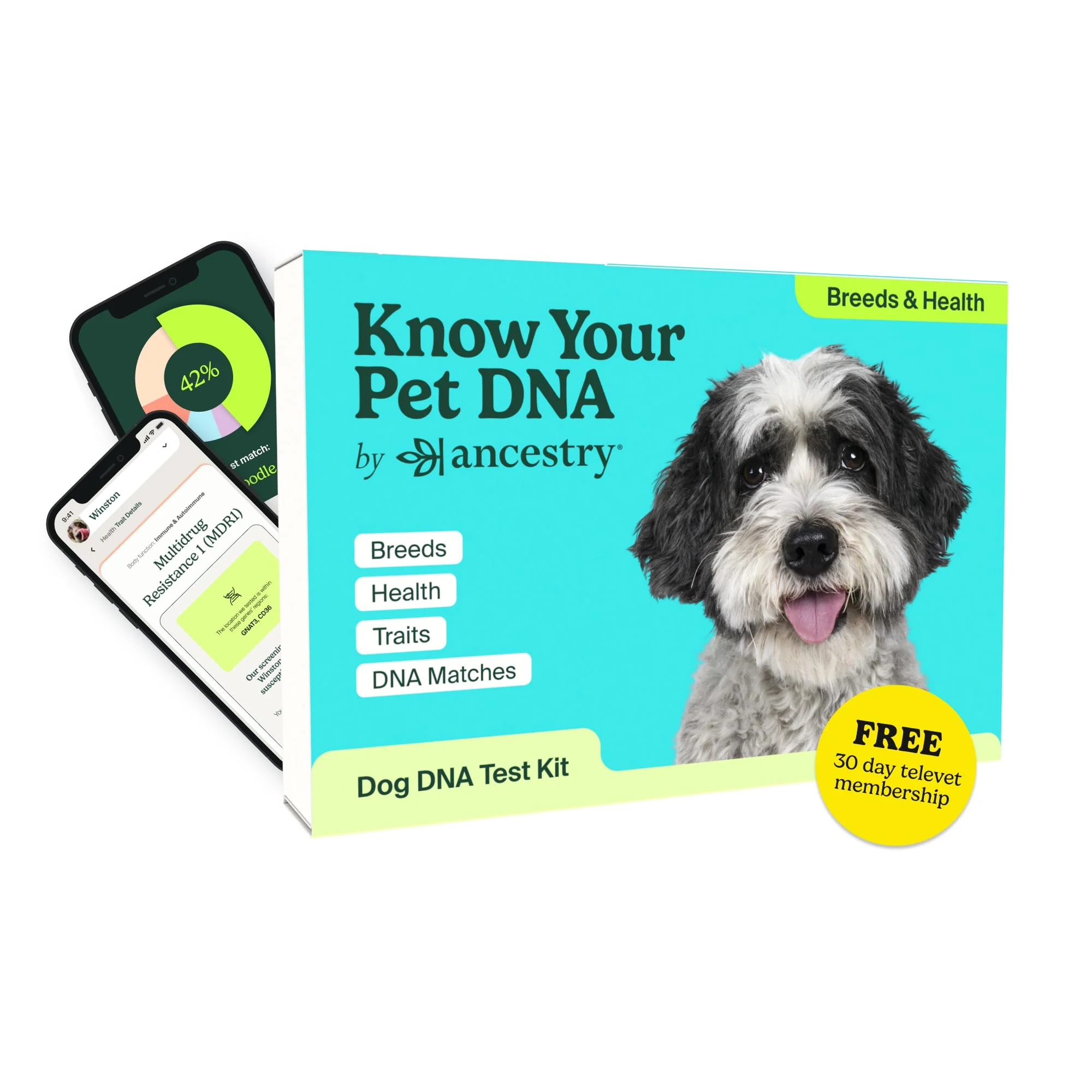 Professional AncestryDNA Dog DNA Test Breed Identification Health Behavior Insights Healthy