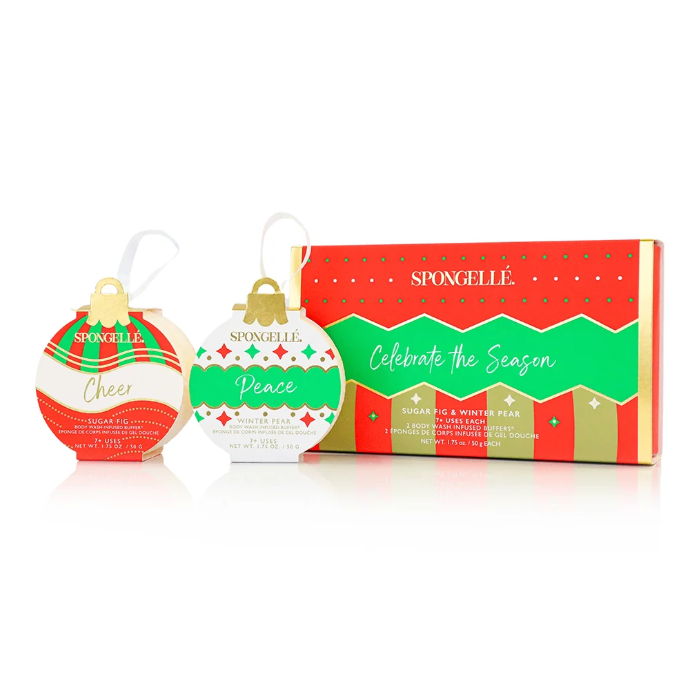 Efficient Celebrate the Season Holiday Ornament Gift Set Unique