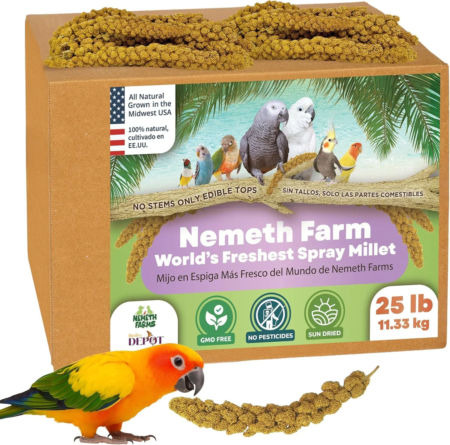 Natural Nemeth Farms- GMO- Sun Dried Spray Millet No Stems Only Edible Tops The Bird Treat and Supplement for All Pet Birds Parakeets Cockatiels Lovebirds and Finches 25lbs Solid