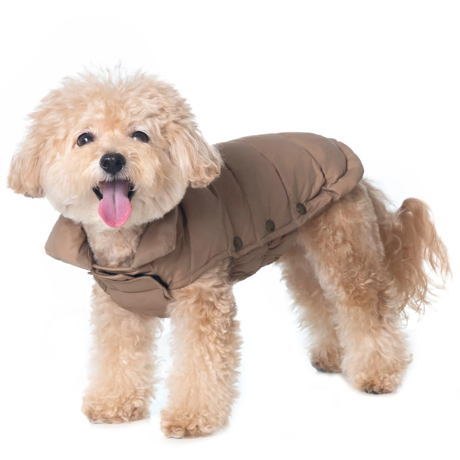 Classic SPACE LION Dog Puffer Jacket – Lightweight Down Coat for Small Dogs Camel Size 10 Gift Box Expertly Made