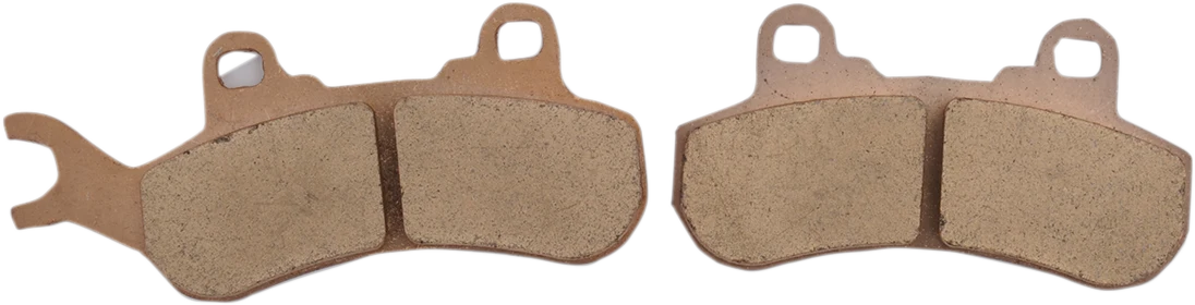 Fast DP BRAKES Standard Brake Pads - Can-Am DP573 Long-Lasting