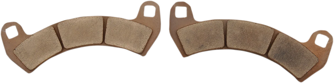 Fine DP BRAKES Standard Brake Pads - RZR DP569 Authentic