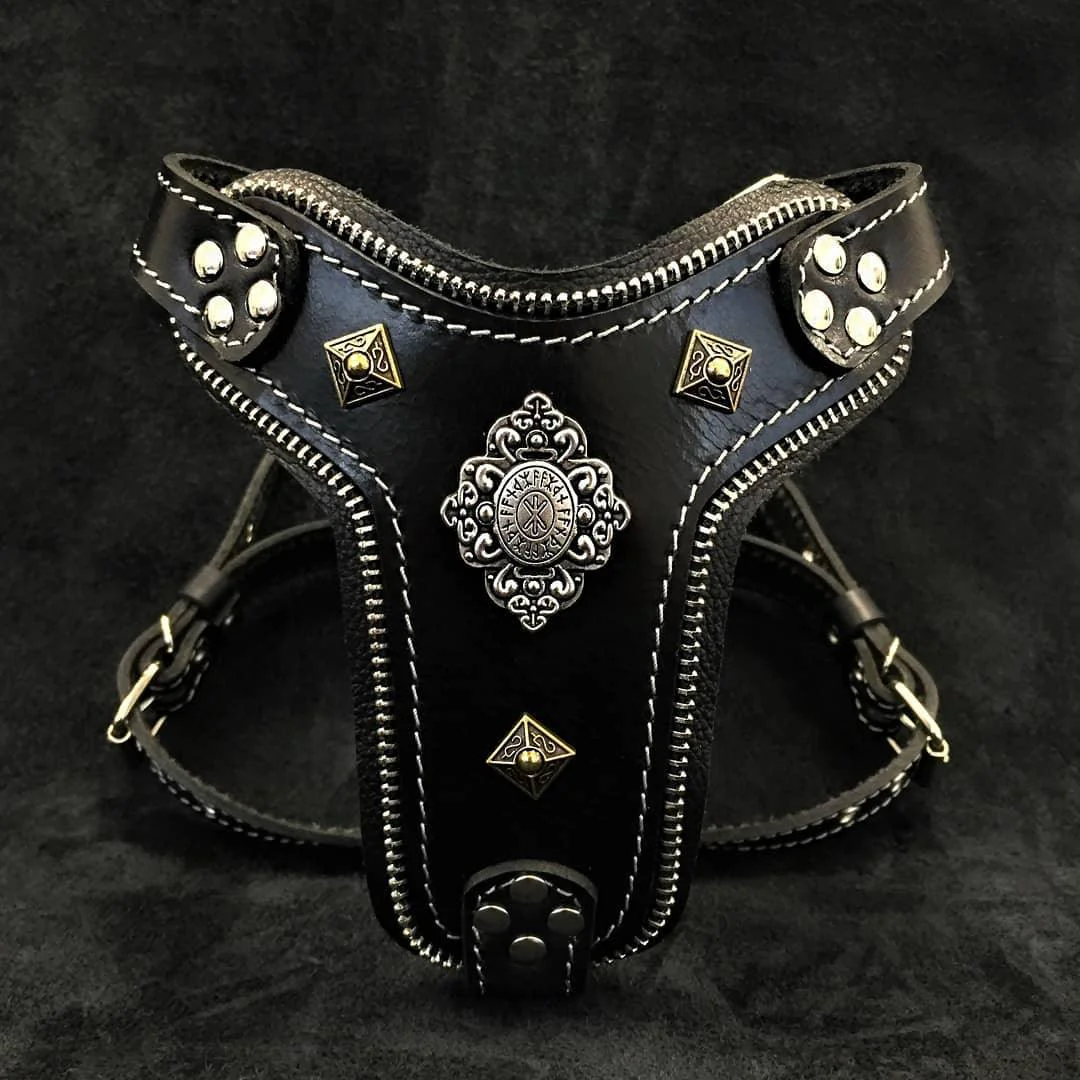World-Class The ''Aztec'' harness Black Small to Medium Size Trusted