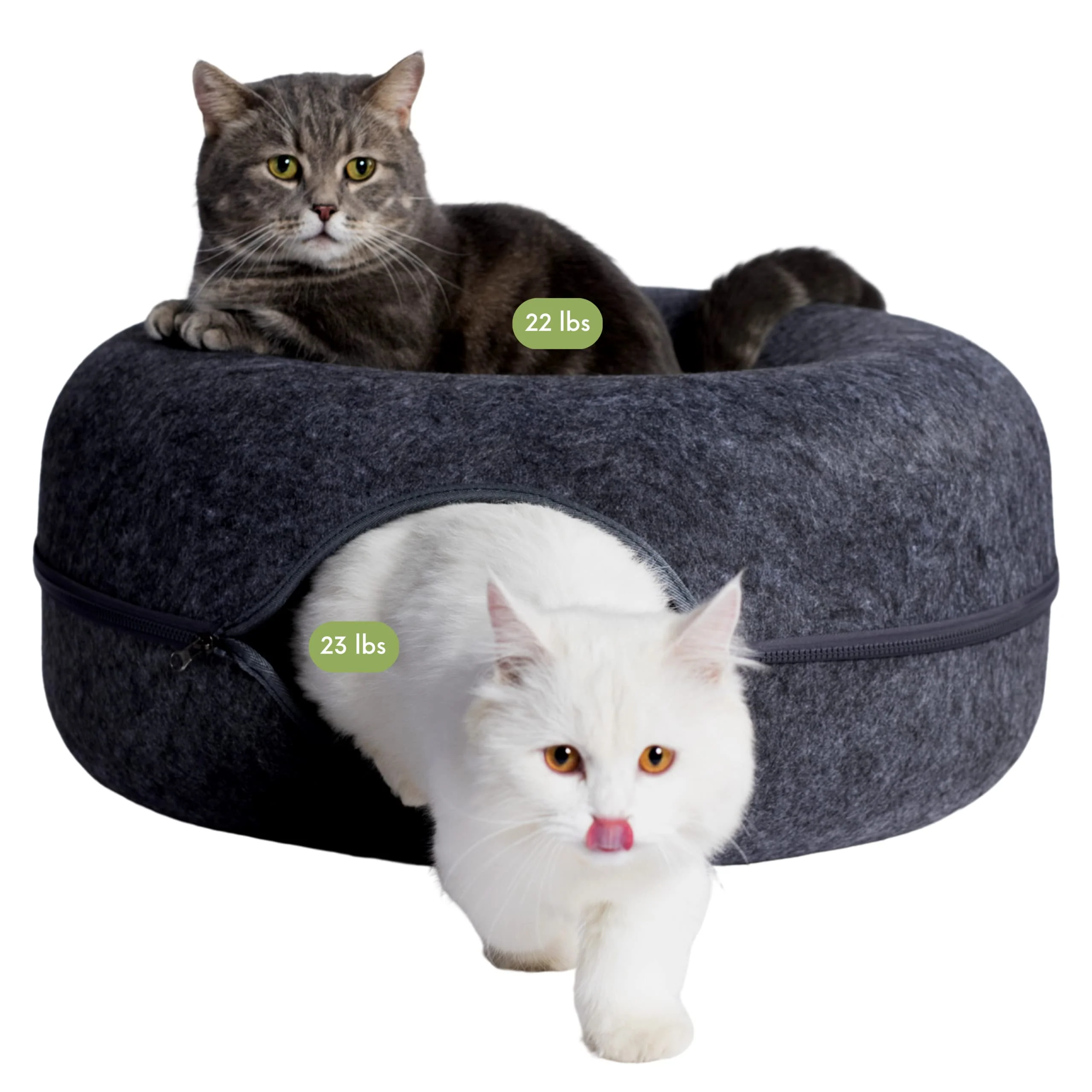 Clean Cattasaurus Peekaboo Cat Cave - Large Cats Up to 45 lbs Donut Bed Detachable Tunnel Dark Gray Luxury