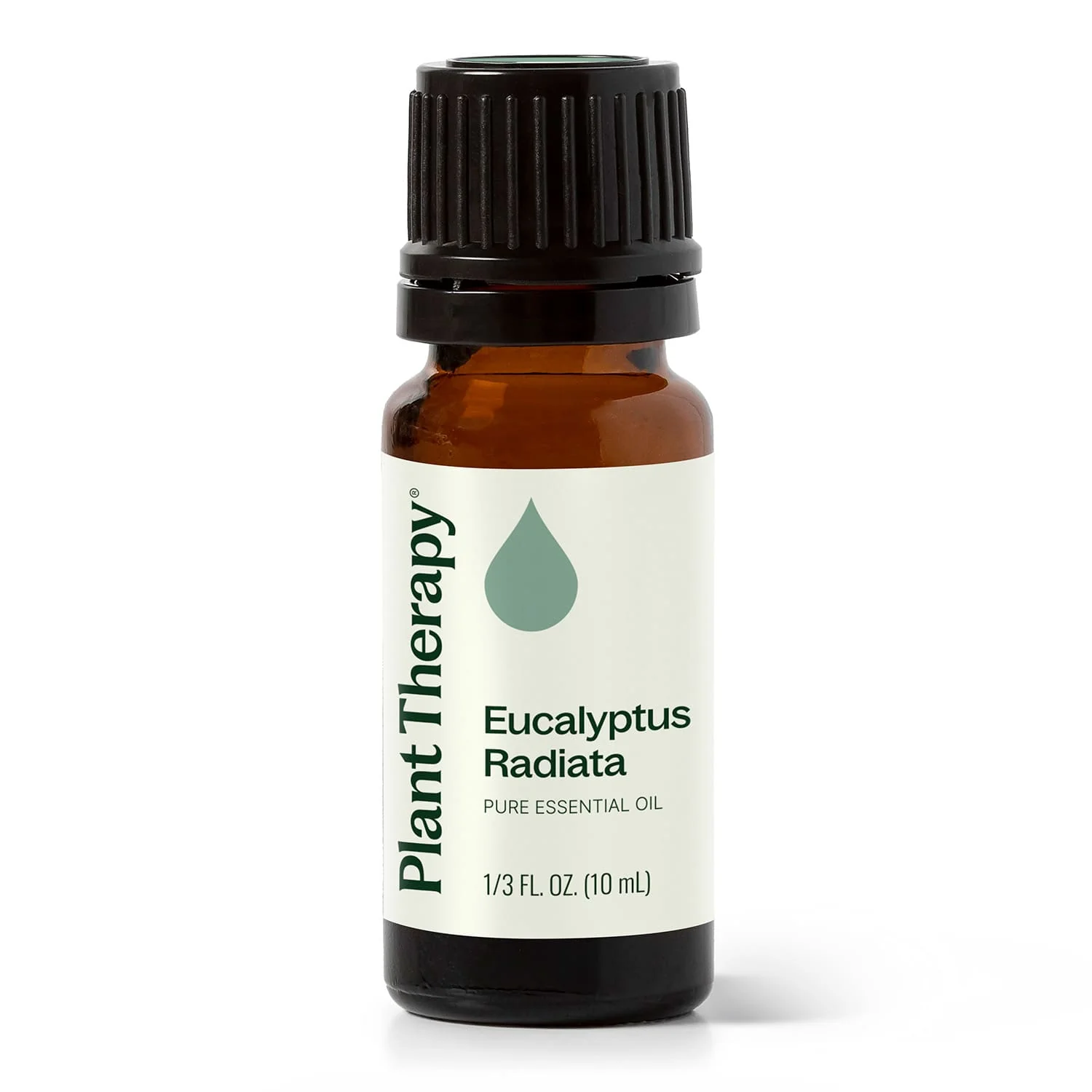 Top-Quality Eucalyptus Radiata Essential Oil Prestigious