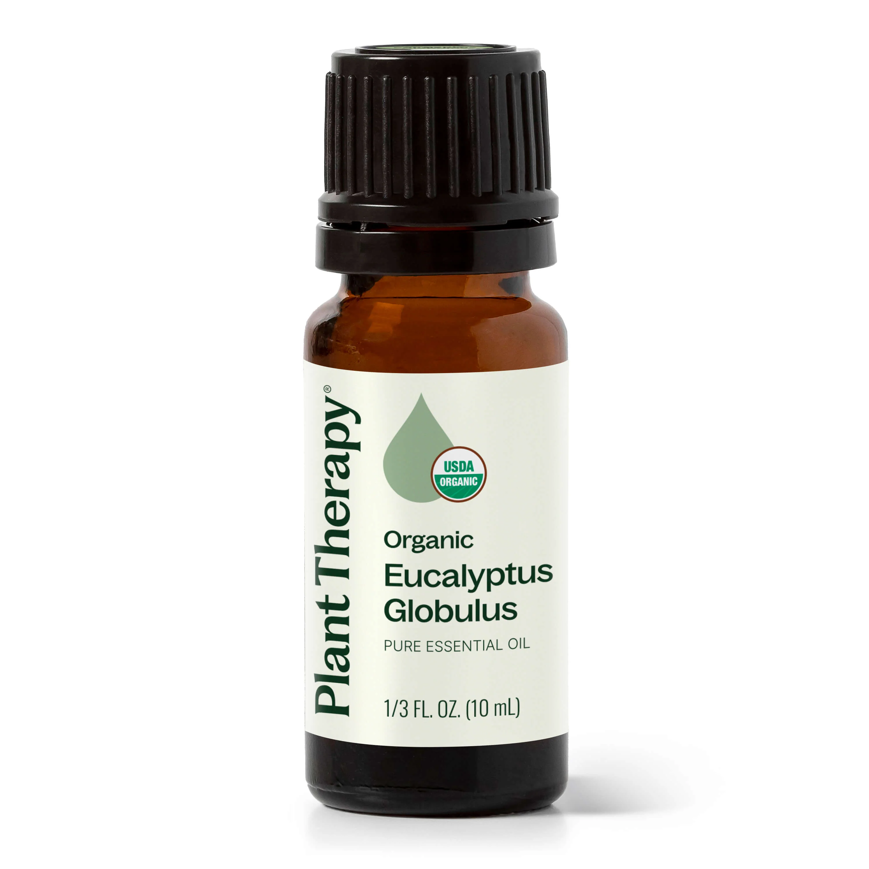 Fast Organic Eucalyptus Globulus Essential Oil Soft
